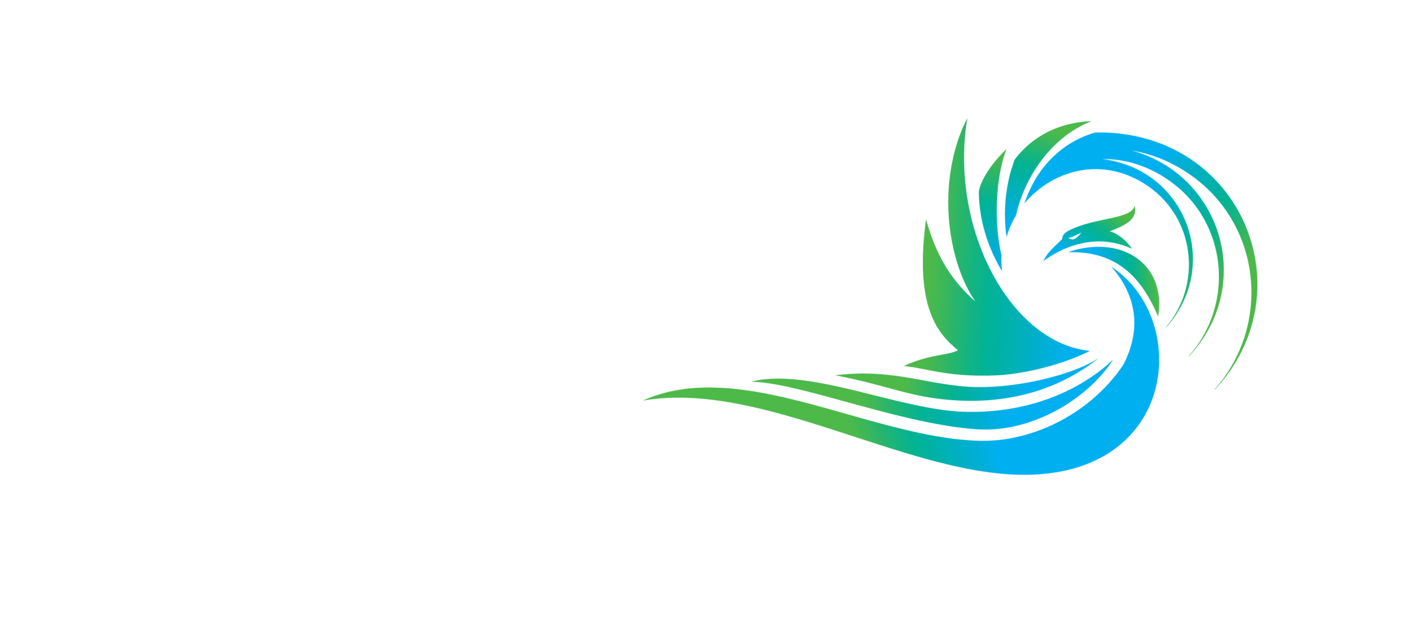 Cooney Coil & Energy Logo