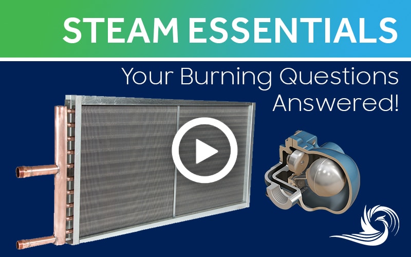 Steam Essentials Webinar