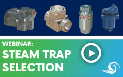 Steam Trap Selection