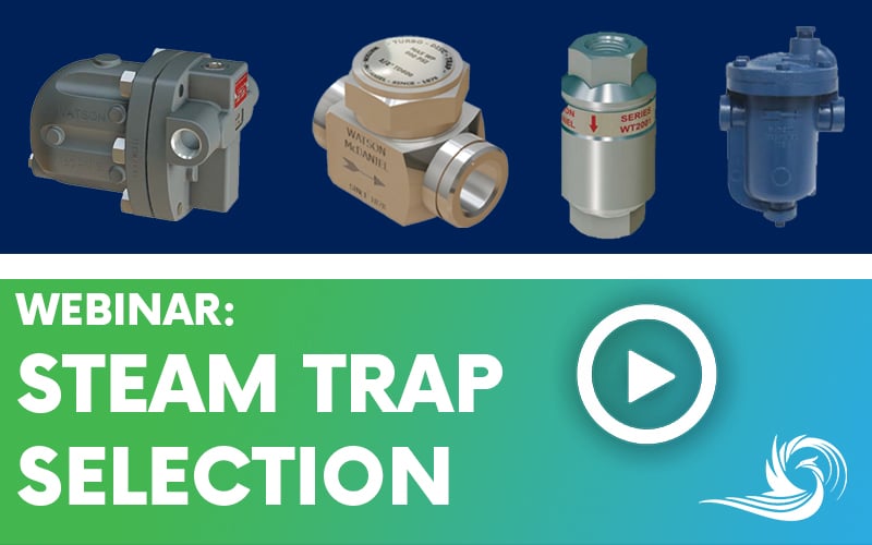 Steam Trap Selection Webinar