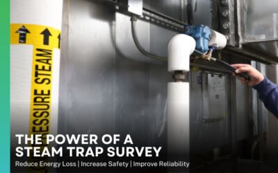 Don’t Just Monitor, Take Control: The Power of a Steam Trap Survey