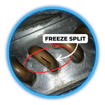 freeze damage split